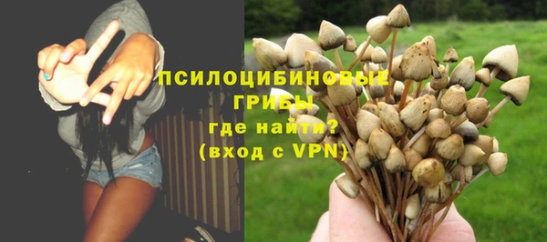стафф Арсеньев