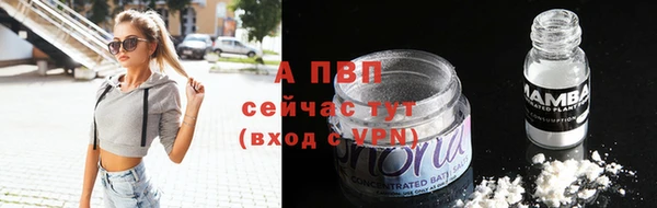 стафф Арсеньев