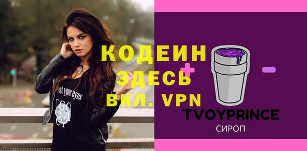 стафф Арсеньев