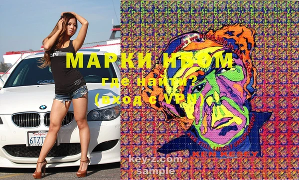 стафф Арсеньев