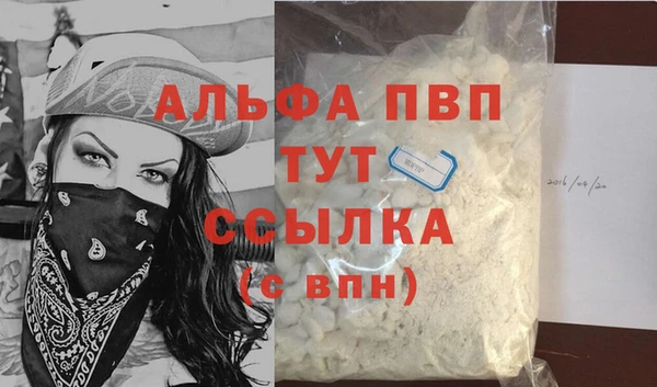 стафф Арсеньев