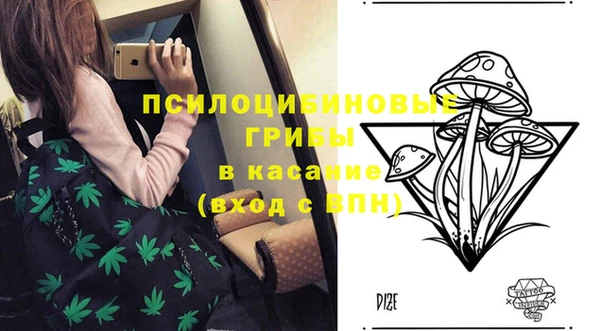 стафф Арсеньев
