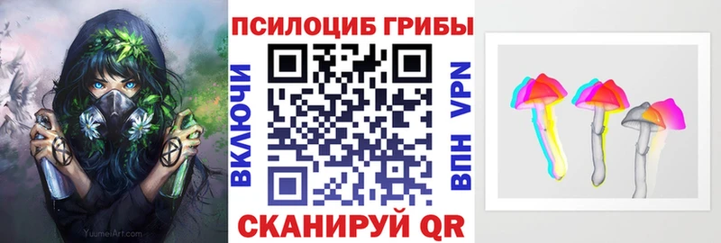 продажа наркотиков  Ржев  hydra ССЫЛКА  Галлюциногенные грибы GOLDEN TEACHER 